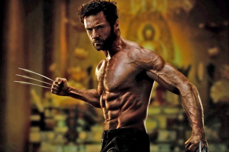 The Wolverine / Wolverine (2013) - Film