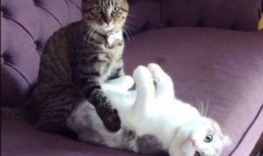 dwq wqd wqd wqd wqdwq