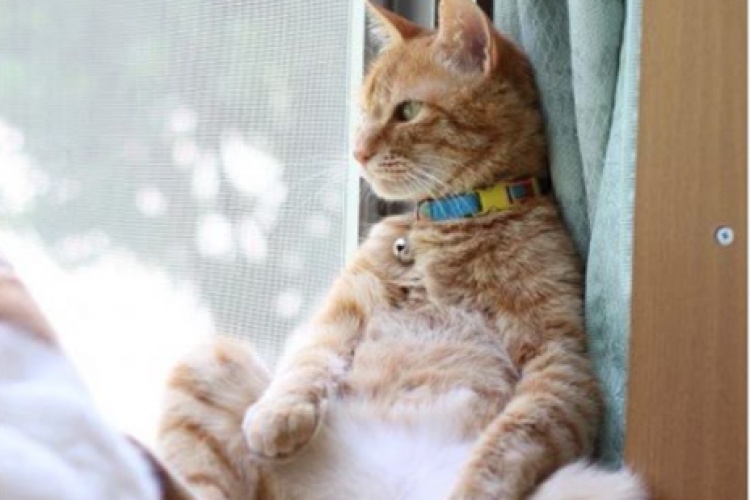 Bekle bekle gelen giden yok.