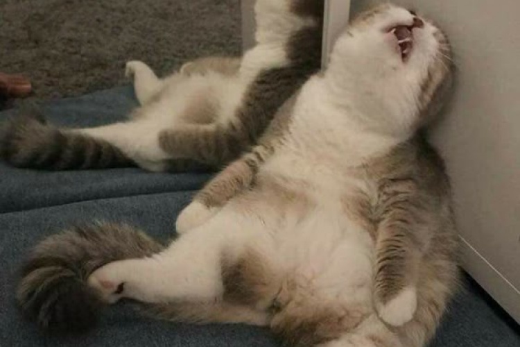 O son dubleyi içmicektim...