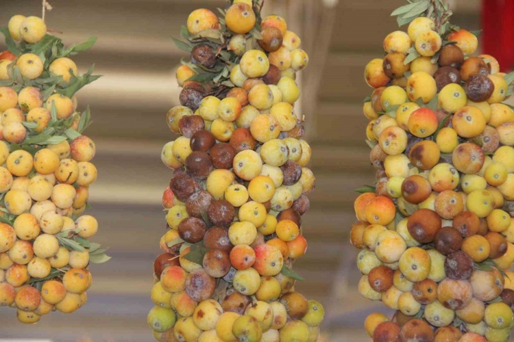 İki Yılda Bir Yetişen Üvez Meyvesi: Şeker, Böbrek ve Tansiyona İyi Geliyor